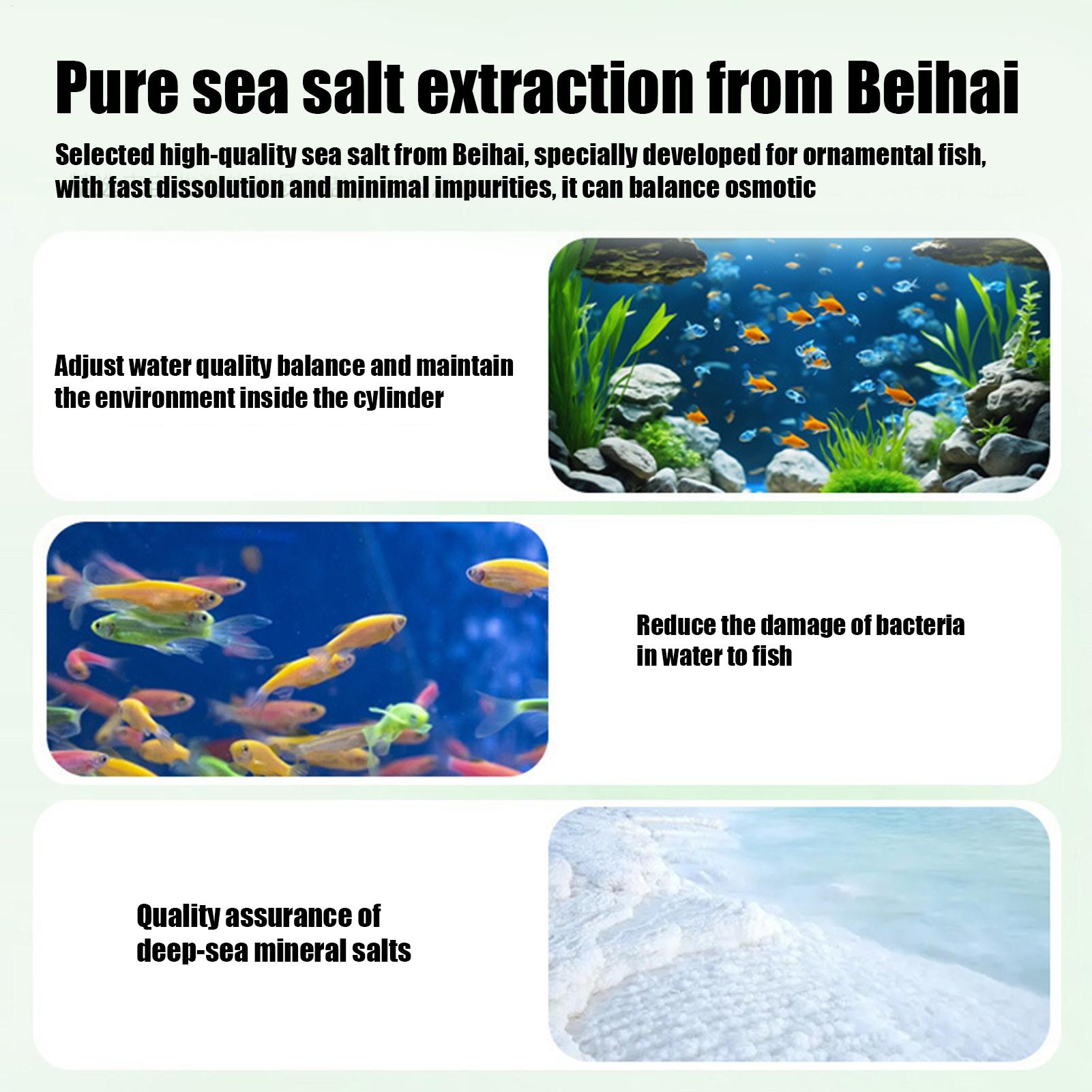 Fish Can Algae Remover Aquariu - đánh giá và giá Betta Fish Tank