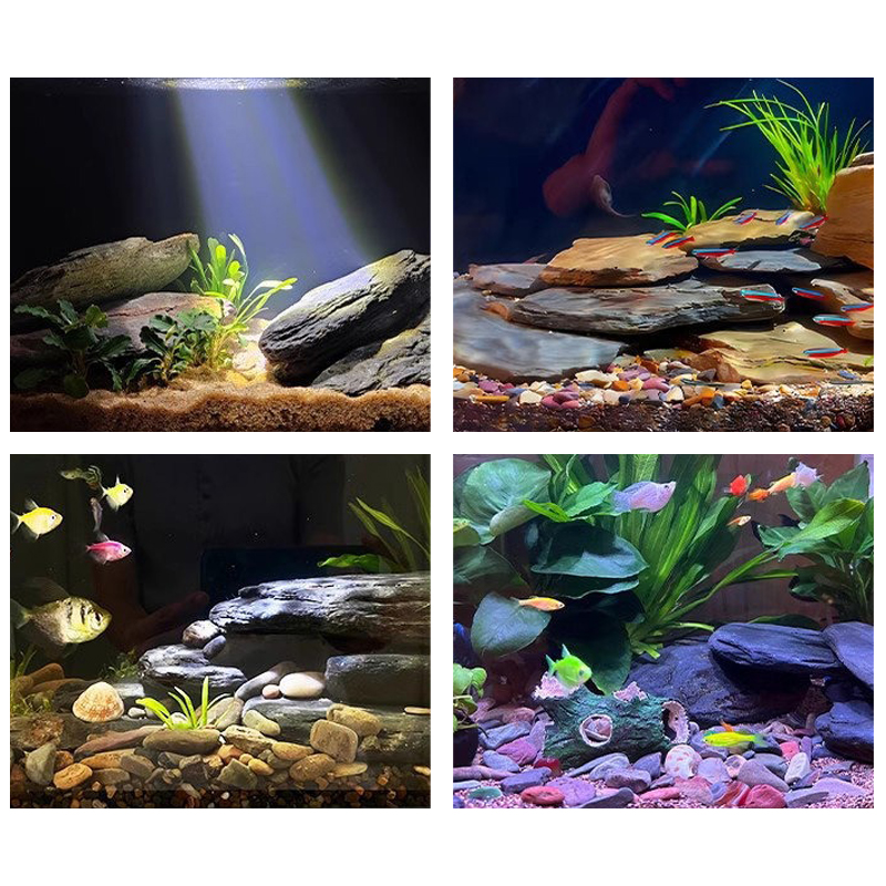 500/1000g Fish Tank Landscape  - đánh giá và giá Fish Tank Gravel