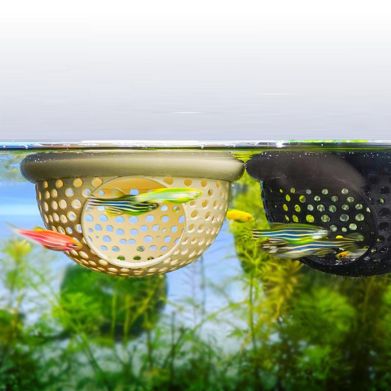 1 Pc Betta Fish Hammock Aquati - đánh giá và giá Betta Fish Tank