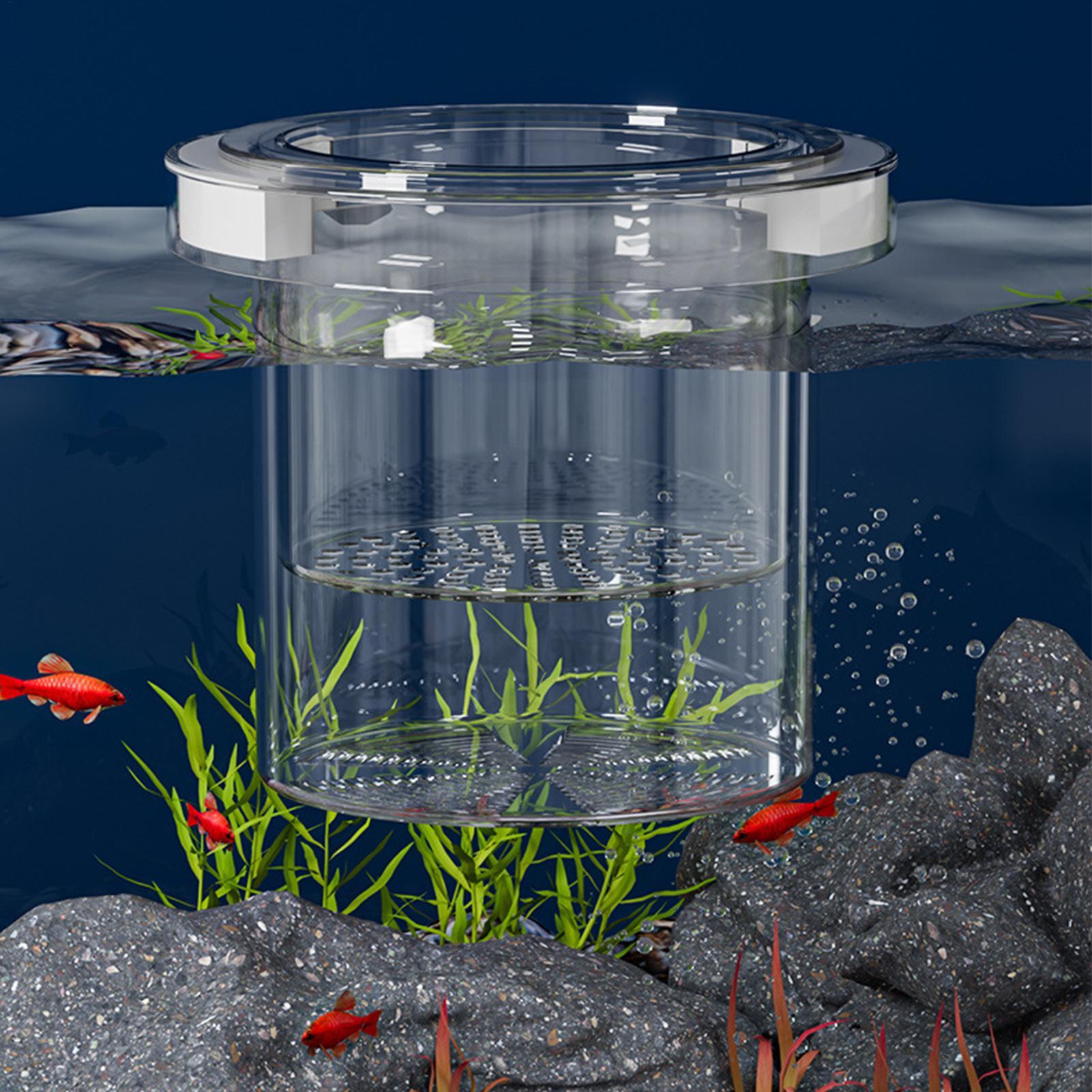 Floating Fish Breeding Isolati - đánh giá và giá Betta Fish Tank