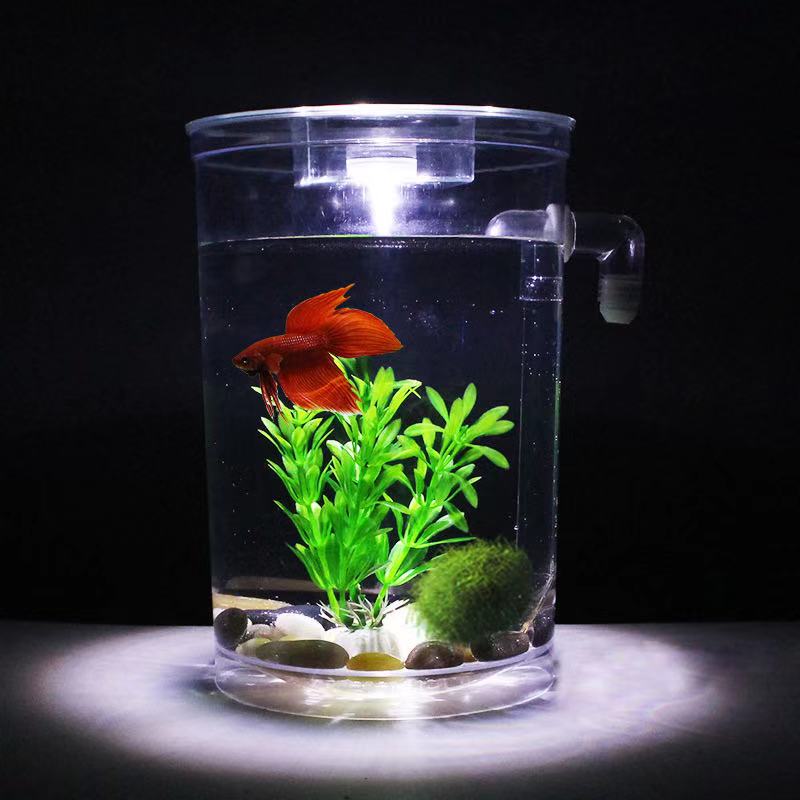 Giày Lười Nước Tự Do Thay Đổi  - đánh giá và giá Betta Fish Tank