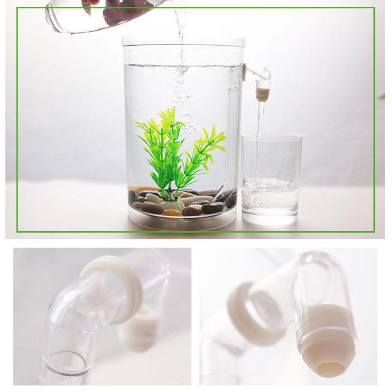 Giày Lười Nước Tự Do Thay Đổi  - đánh giá và giá Betta Fish Tank