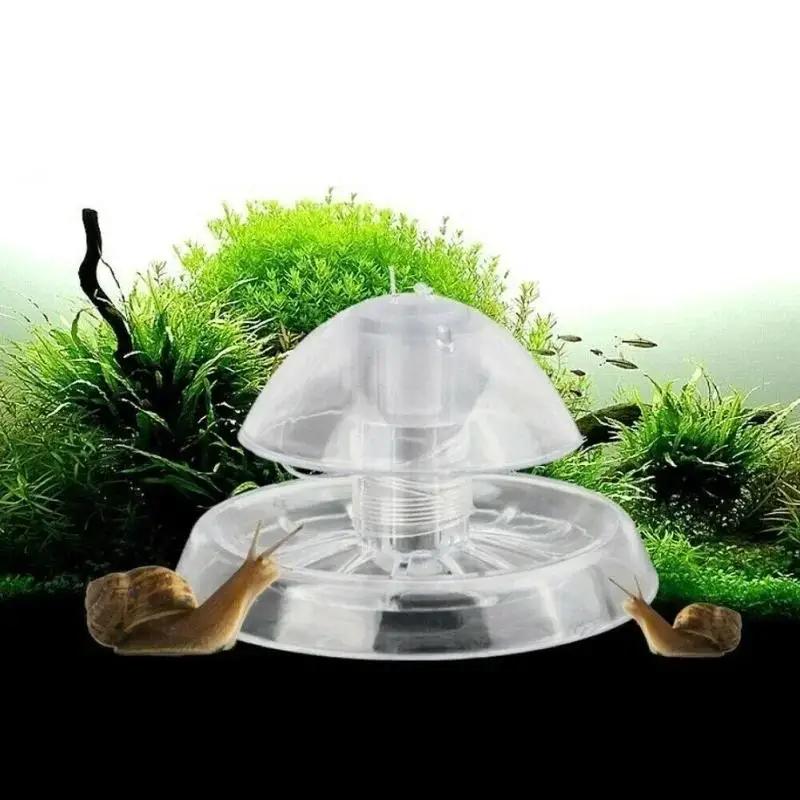 2026 New 6/8CM Clear Plastic S - đánh giá và giá Fish Aquarium Home