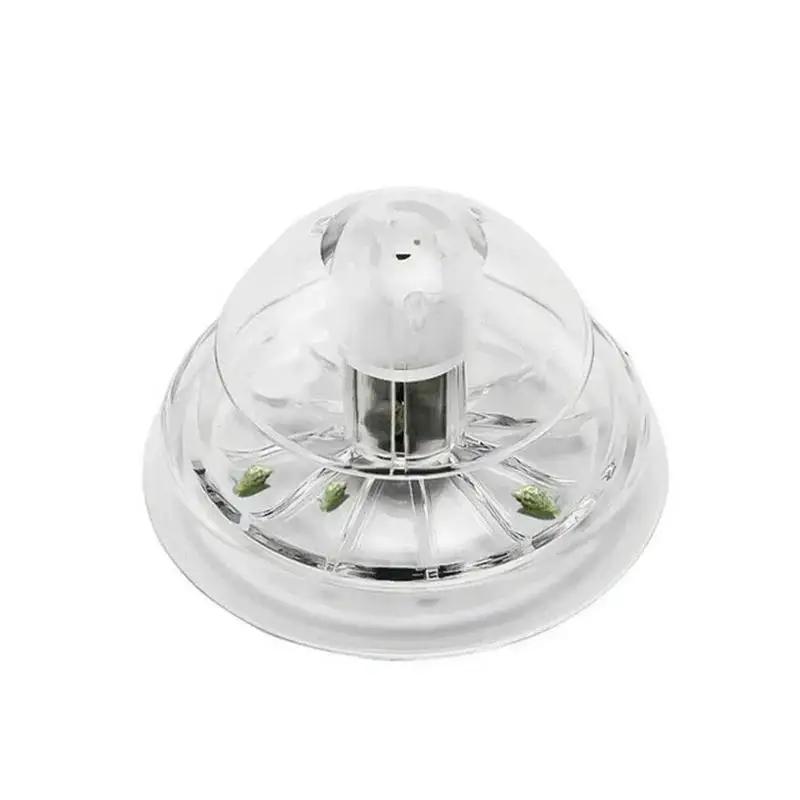 2026 New 6/8CM Clear Plastic S - đánh giá và giá Fish Aquarium Home