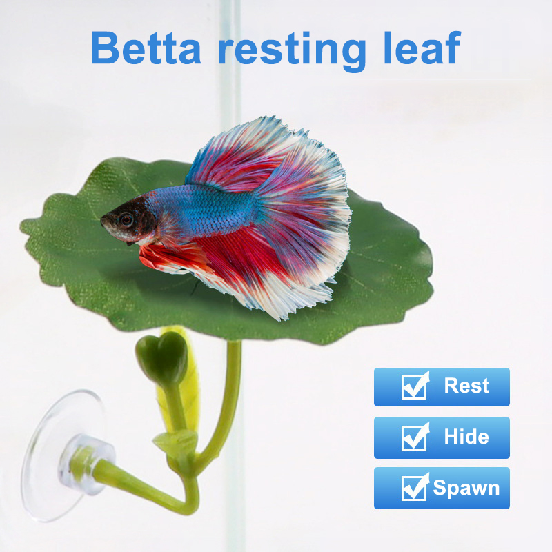 1PC Betta Fish Leaf Hammock Gr - đánh giá và giá Betta Fish Tank