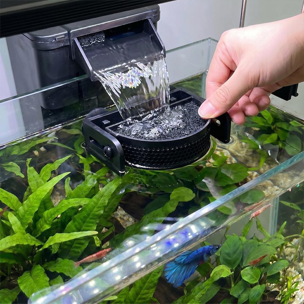  Premium Aquarium Filter Baff - đánh giá và giá Betta Fish Tank