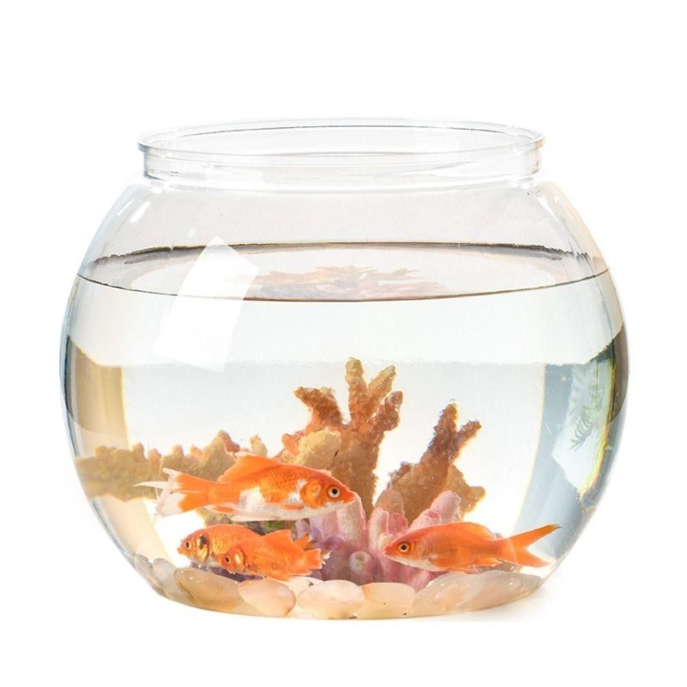 Portable Transparent Fish Tank - đánh giá và giá Fish Aquarium Home