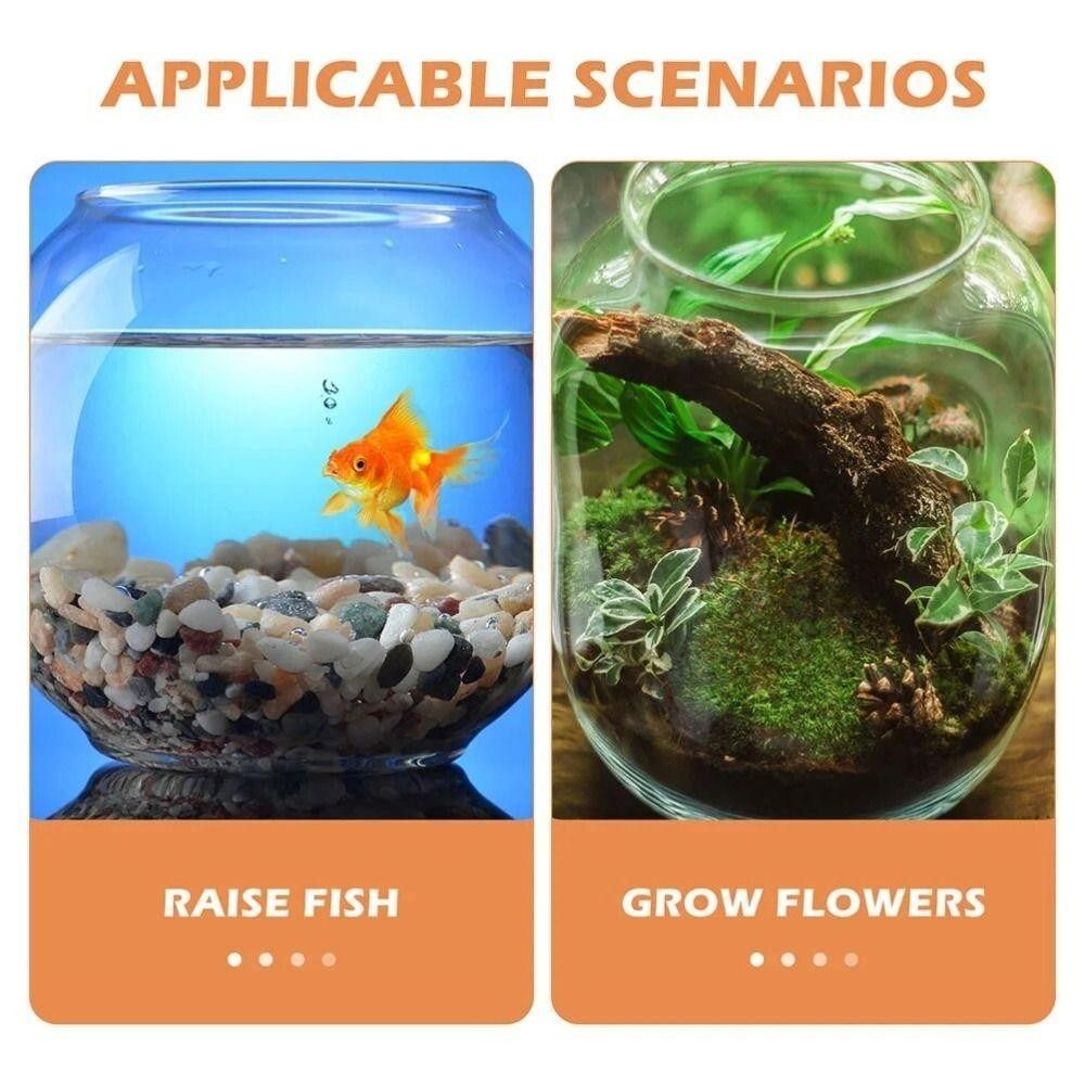 Portable Transparent Fish Tank - đánh giá và giá Fish Aquarium Home