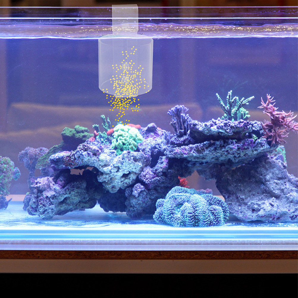 Adjustable Acrylic Fish Feedin - đánh giá và giá Aquarium Fish Keeping
