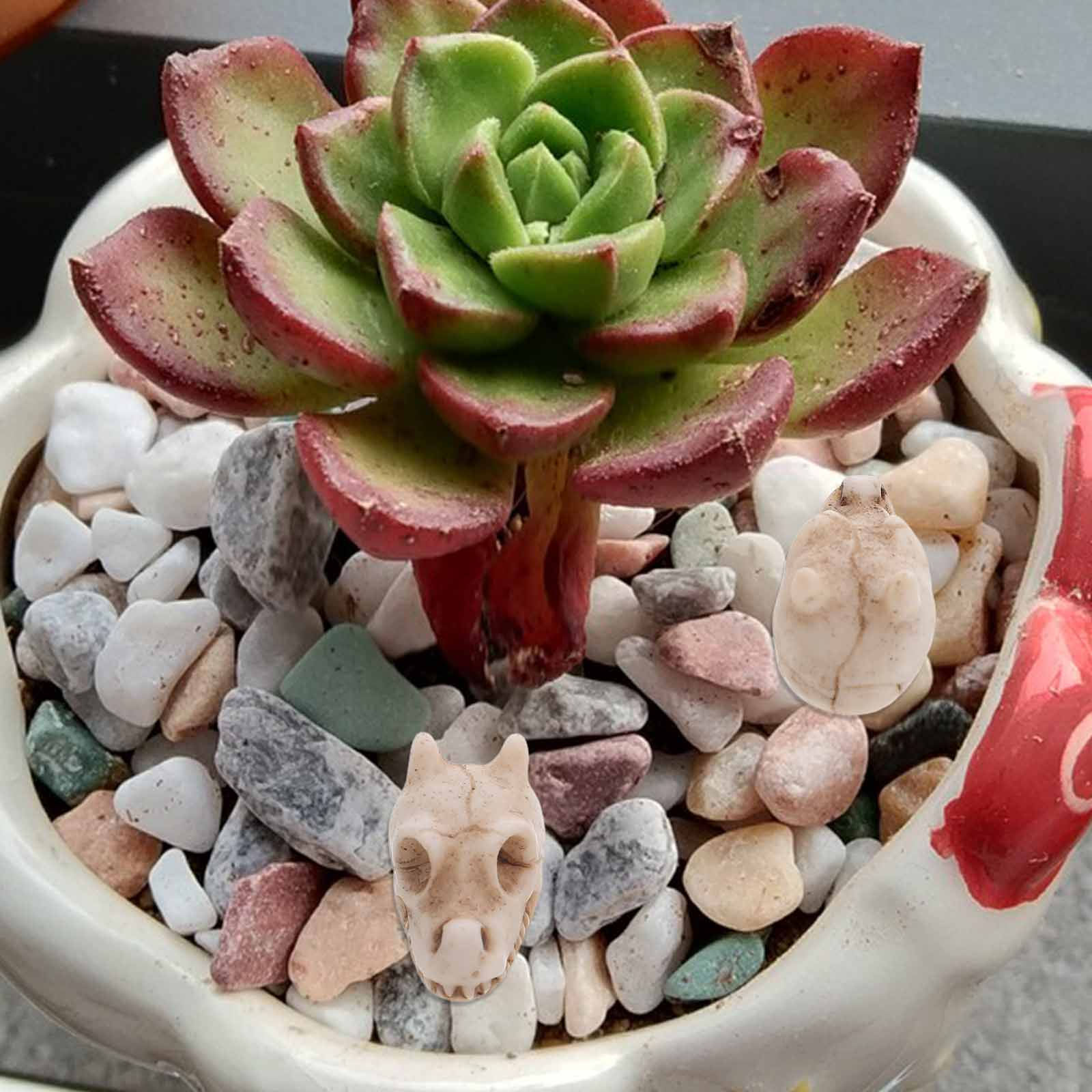 20pcs Mini Dragon Skull Resin  - đánh giá và giá Aquarium Decor