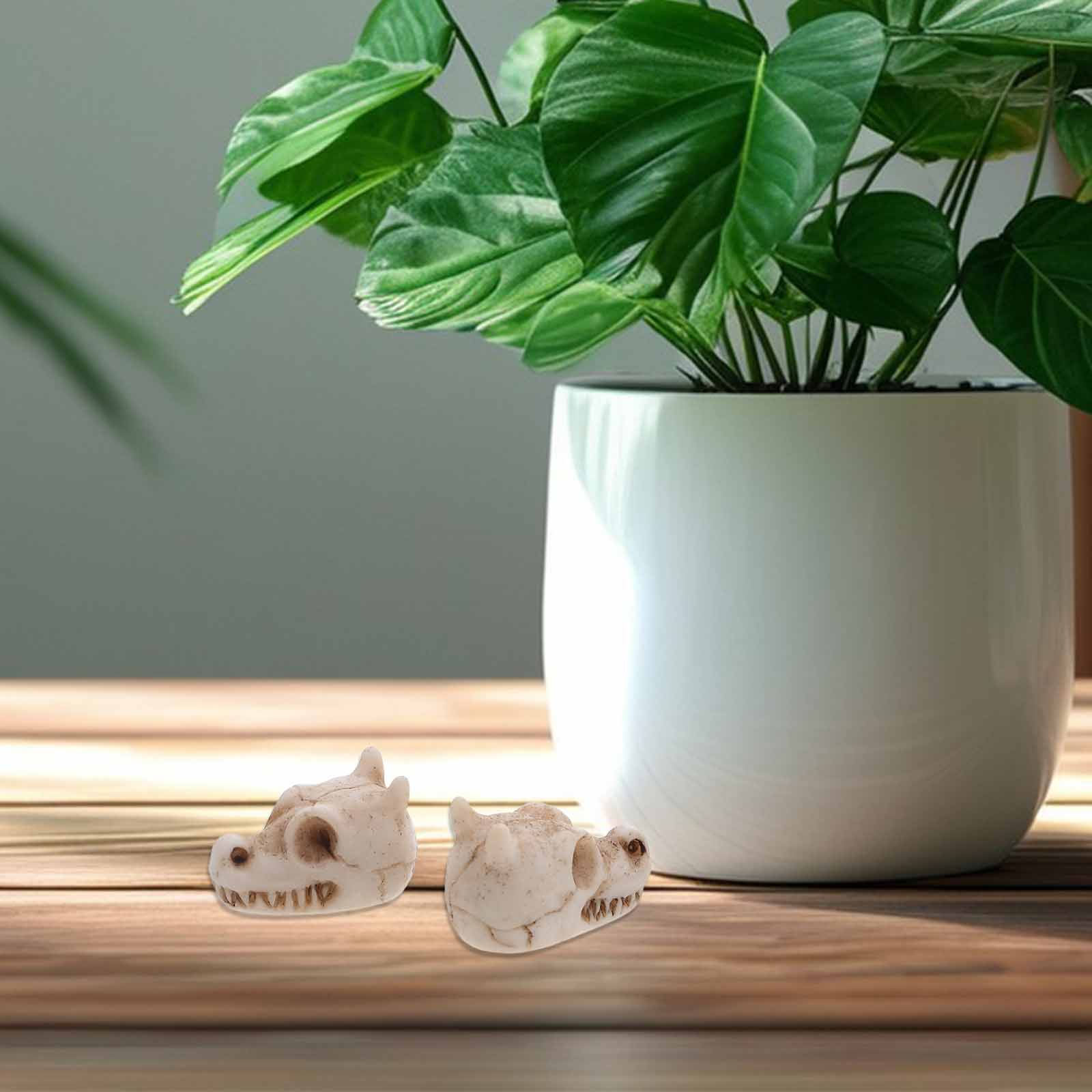 20pcs Mini Dragon Skull Resin  - đánh giá và giá Aquarium Decor