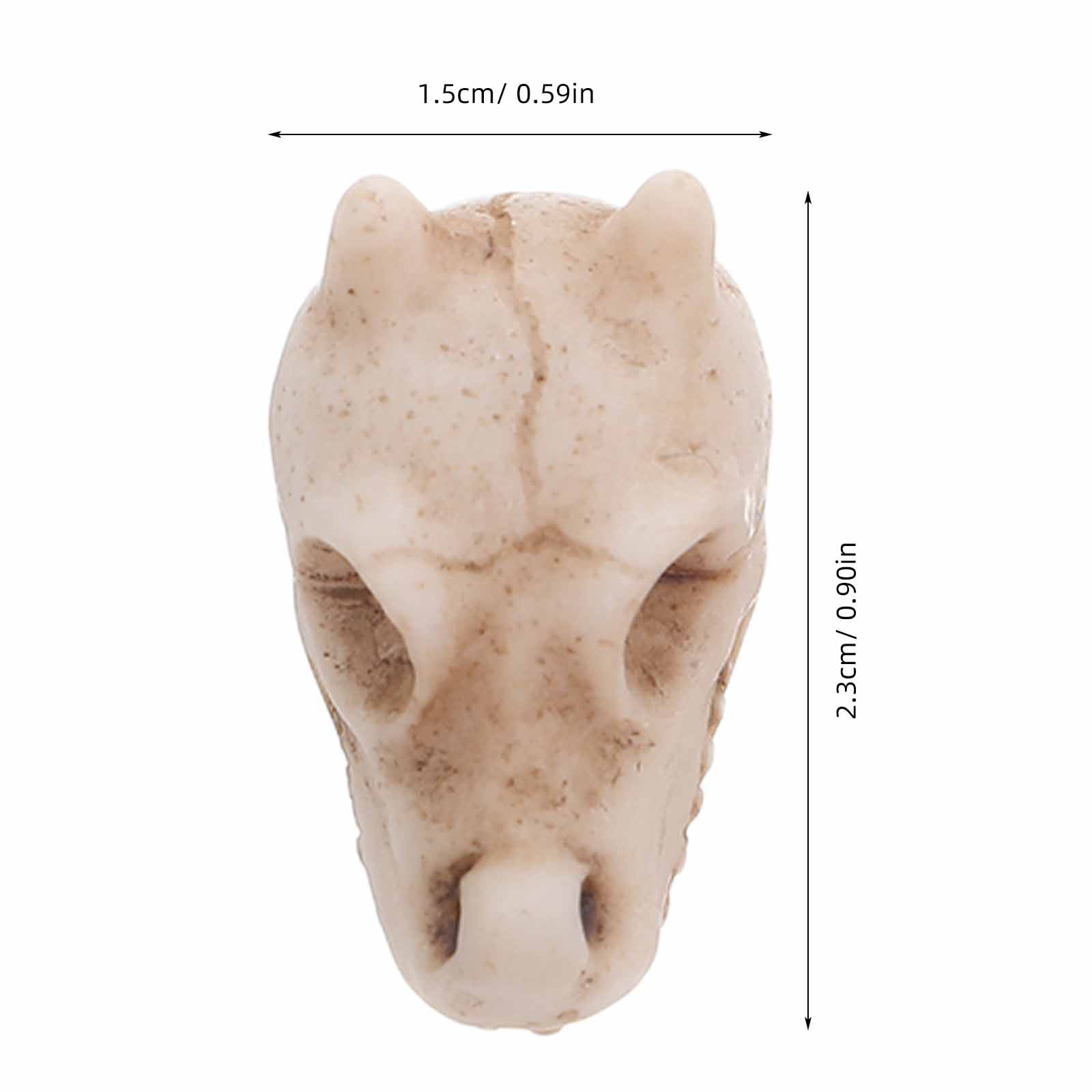 20pcs Mini Dragon Skull Resin  - đánh giá và giá Aquarium Decor