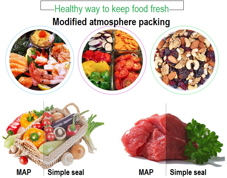 430 Food Vaccum Sealer Traysea - đánh giá và giá Fish Food