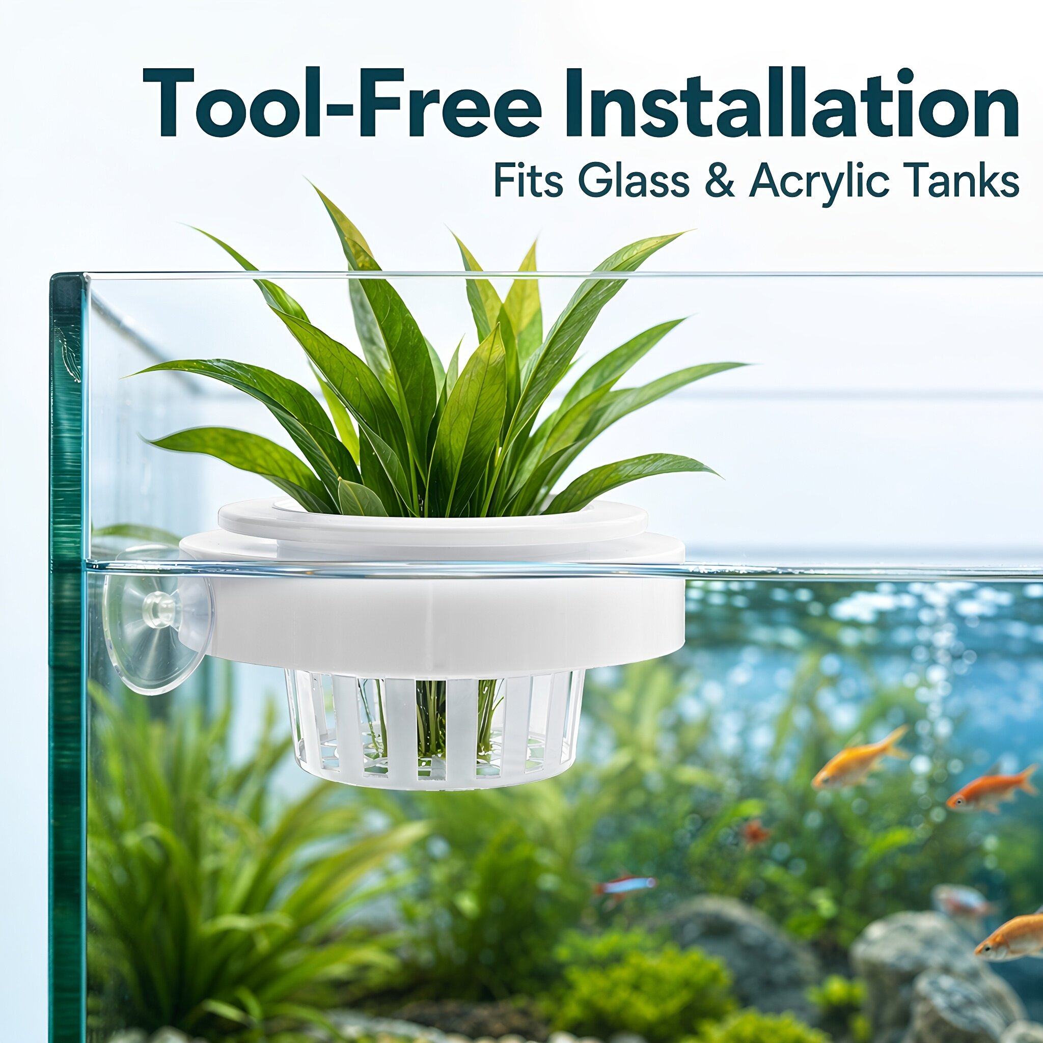 4pcs Floating Aquarium Plant B - đánh giá và giá Aquarium Plants