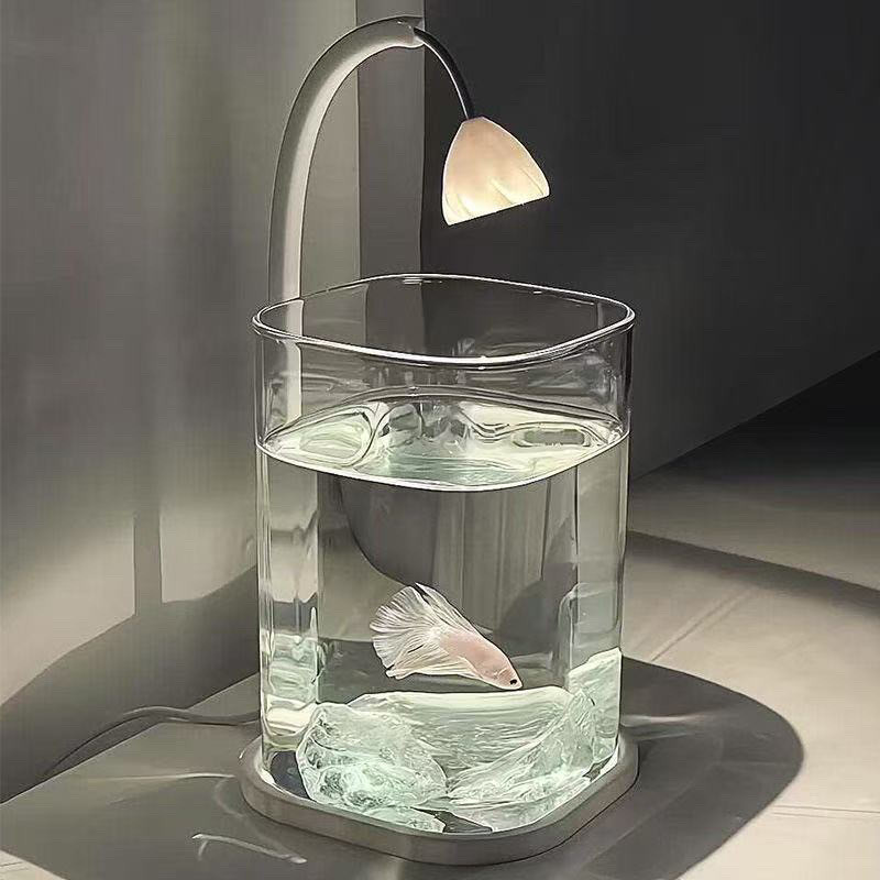 Full Set Transparent  Aquarium - đánh giá và giá Betta Fish Tank