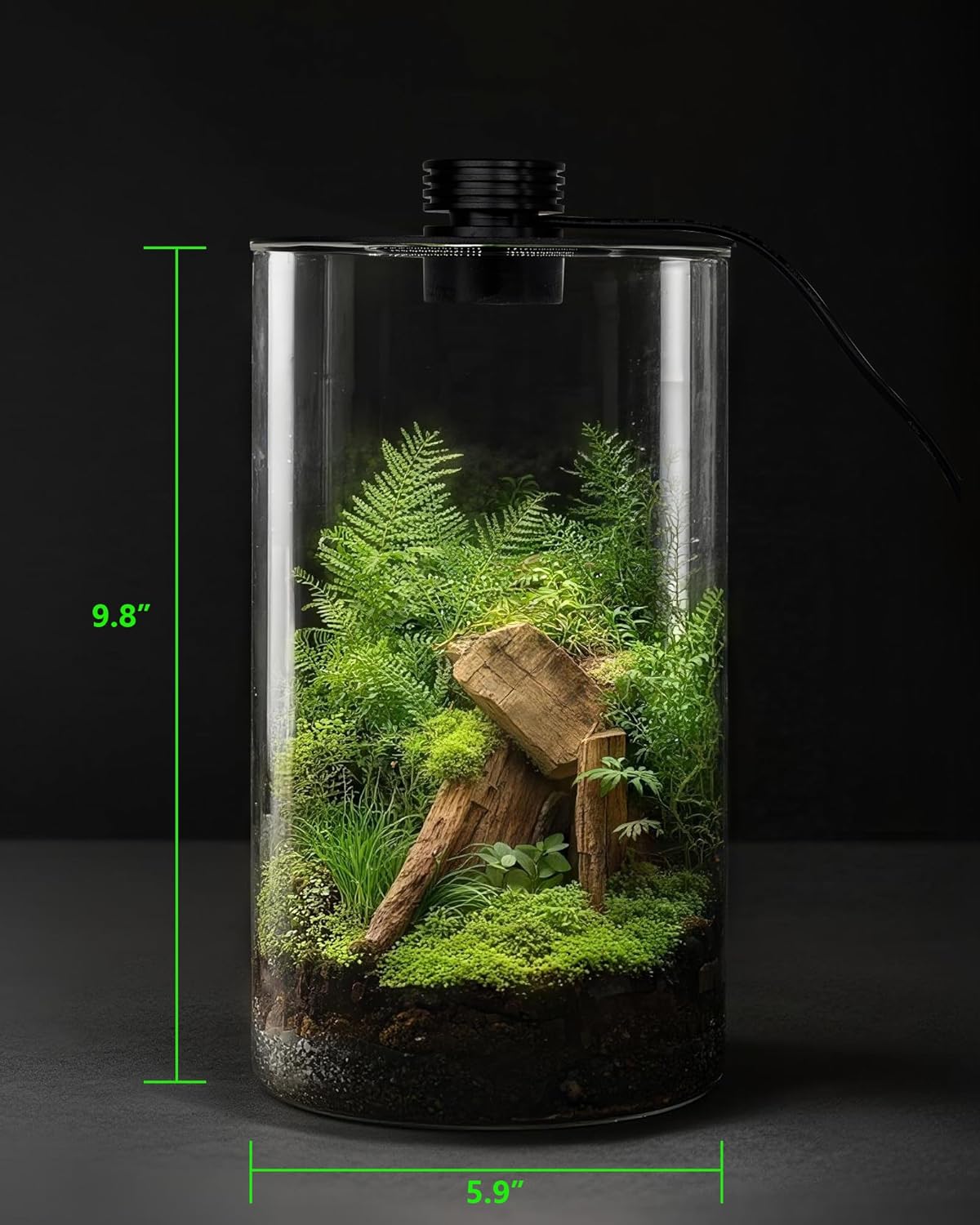 Indoor Glass Terrarium with Gr - đánh giá và giá Betta Fish Tank