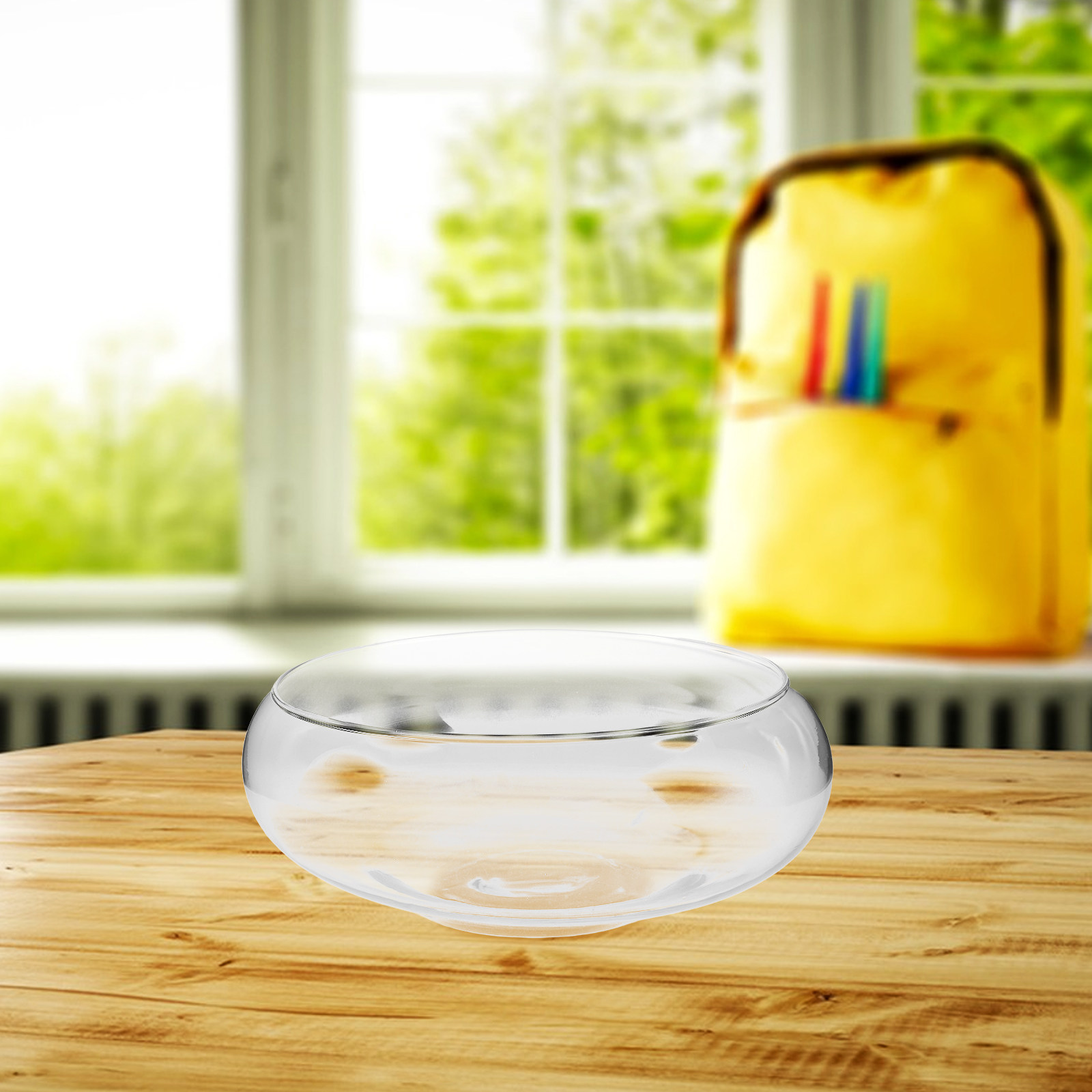 Glass Hydroponic Planter Bowl  - đánh giá và giá Aquarium Plants
